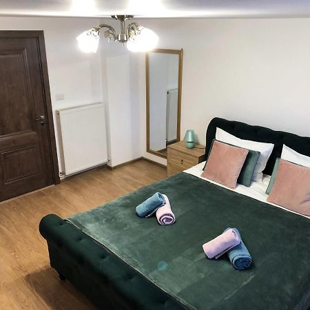 Ultra Central Apartment, Free Parking Oradea - Stray Cats Экстерьер фото